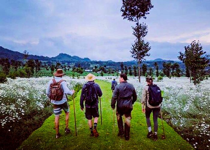 1-days-rwanda-mount-bisoke-hiking-adventure