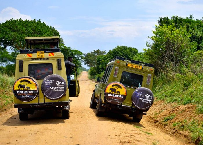 10-days-rwanda-uganda-congo-and-burundi-adventure-safaris