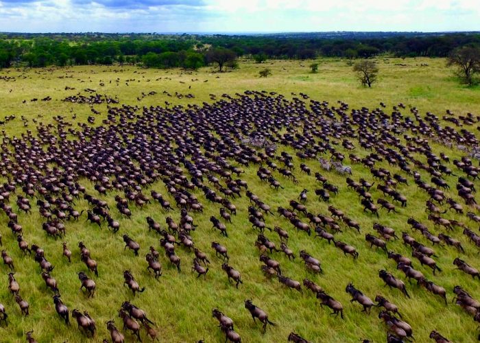 18-days-kenya-tanzania-rwanda-uganda-adventure-safari
