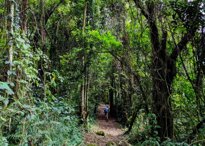 2-days-mount-rwenzori-trekking-adventure-1