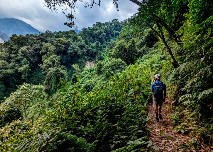 3-days-mount-rwenzori-trekking-adventure-1