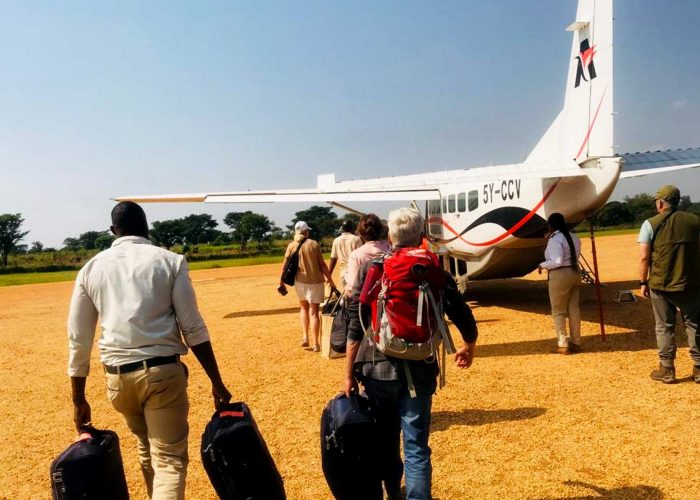 7-days-uganda-gorilla-trek-and-kenya-masai-mara-flying-safari