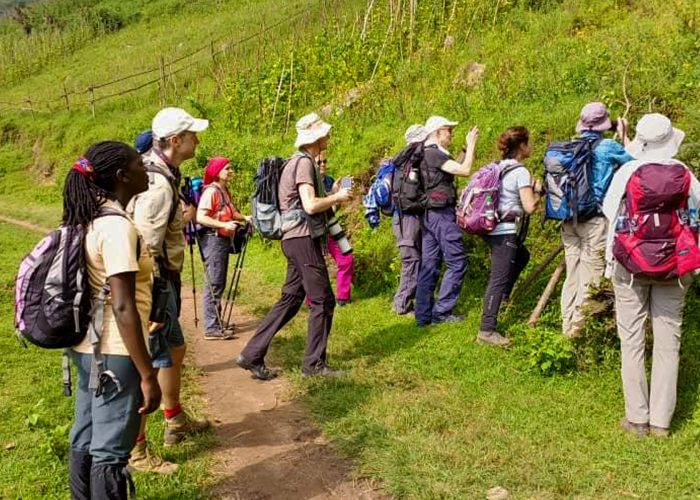 8-days-uganda-primate-trek-buhoma-nkuringo-walk-and-volcano-hiking-adventure