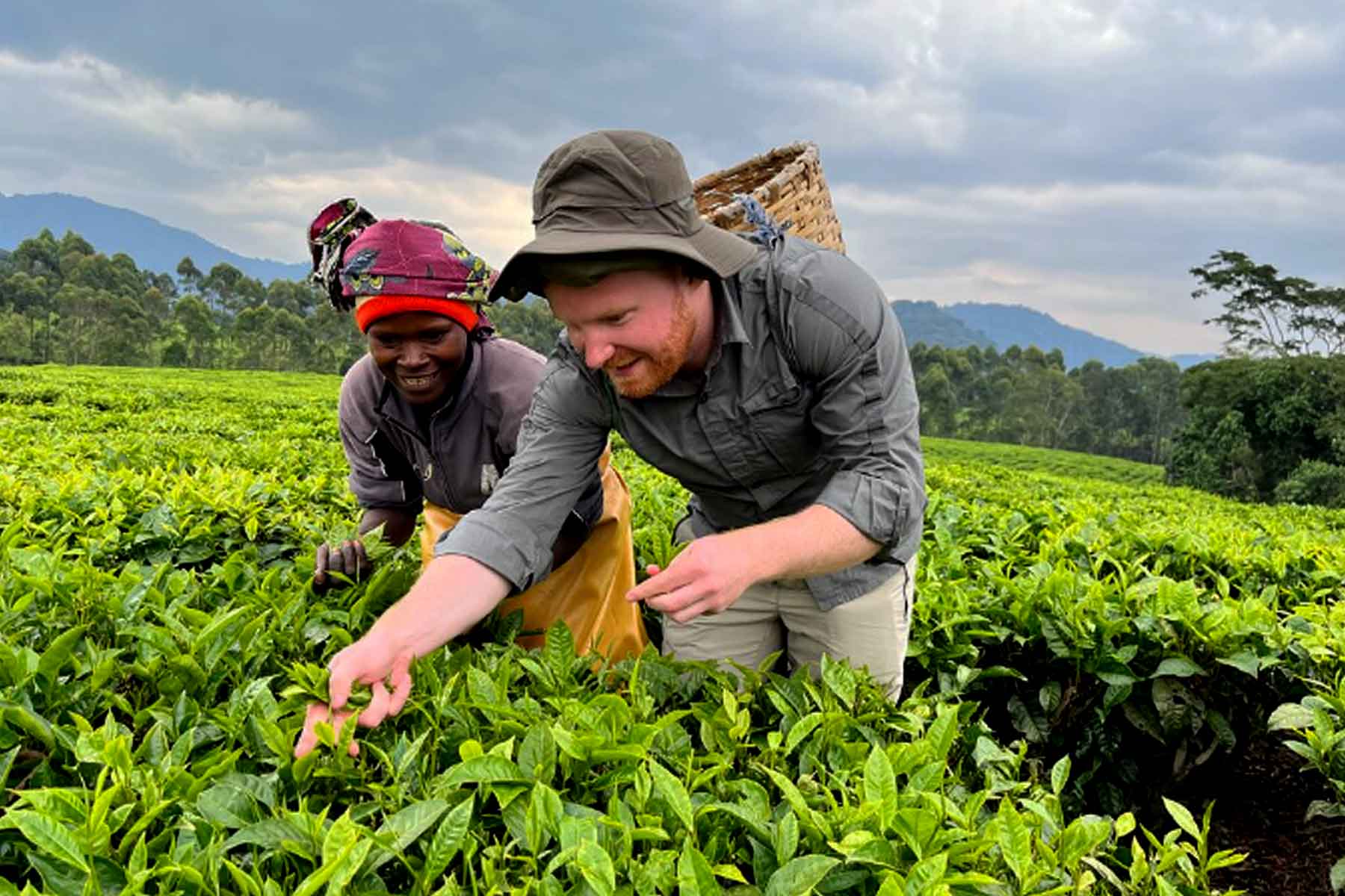 Gisakura Tea Plantation Experience Tour