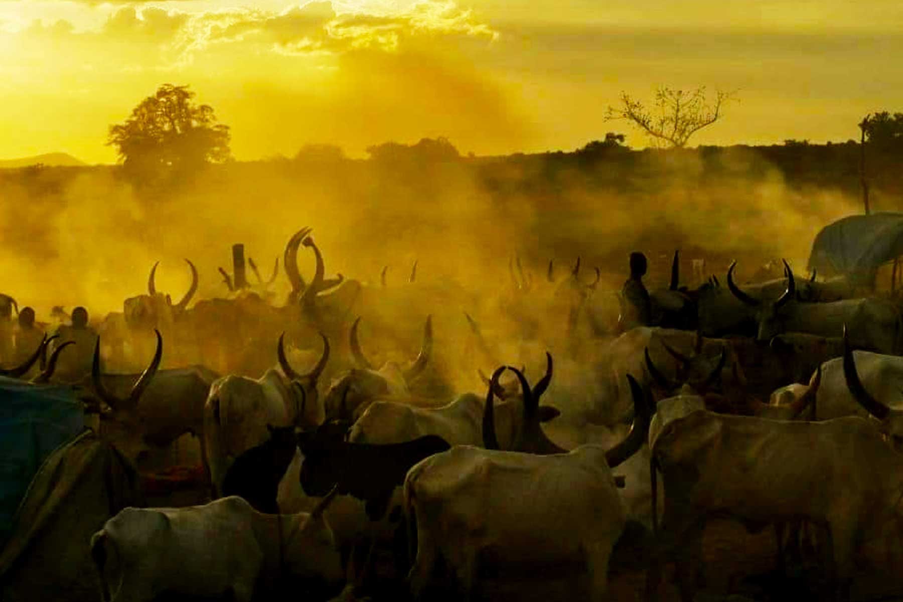 5-days-mundari-of-south-sudan-cultural-tour