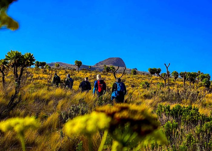 mount-elgon-hiking-adventure