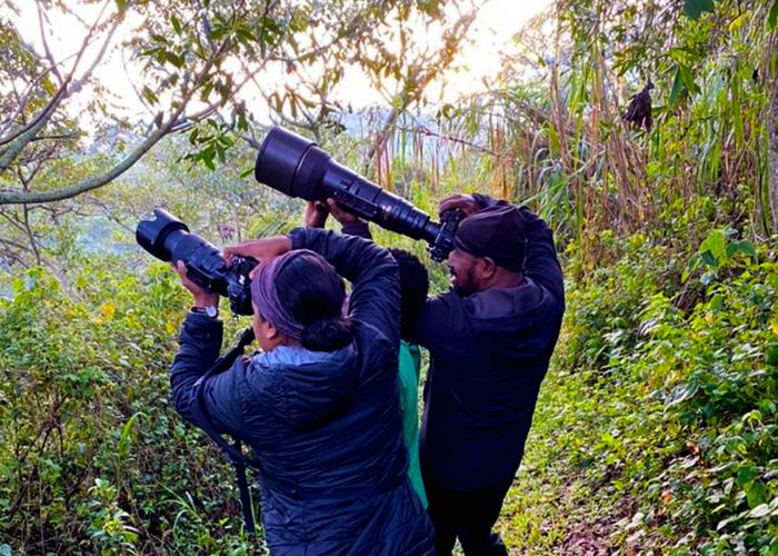 bird-watching-experience-in-bwindi-impenetrable-national-park