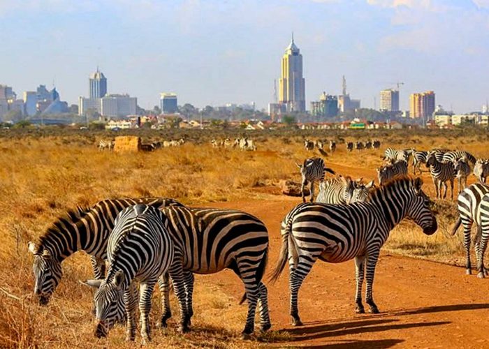nairobi-national-park