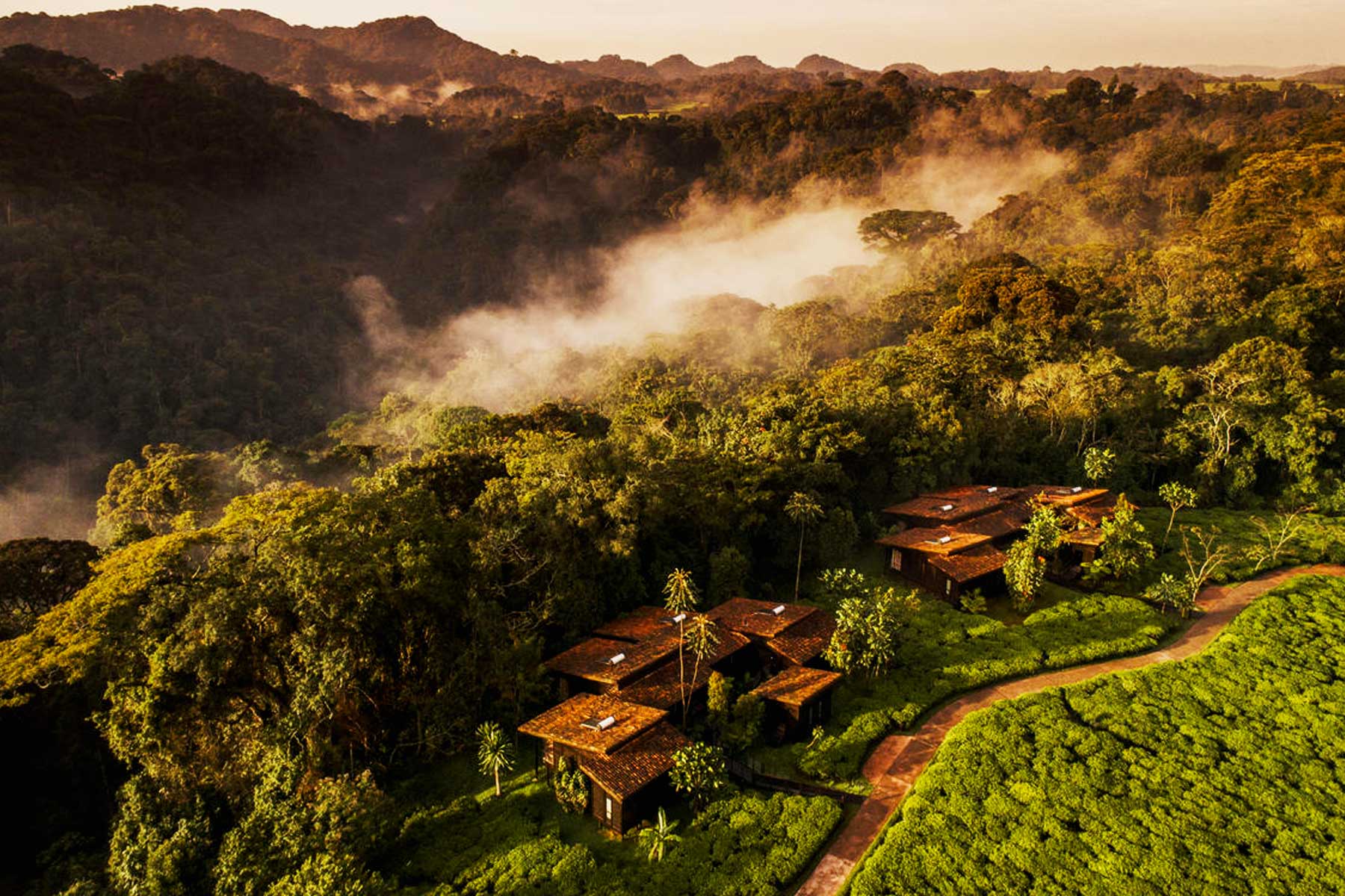 One & Only Nyungwe House Resort
