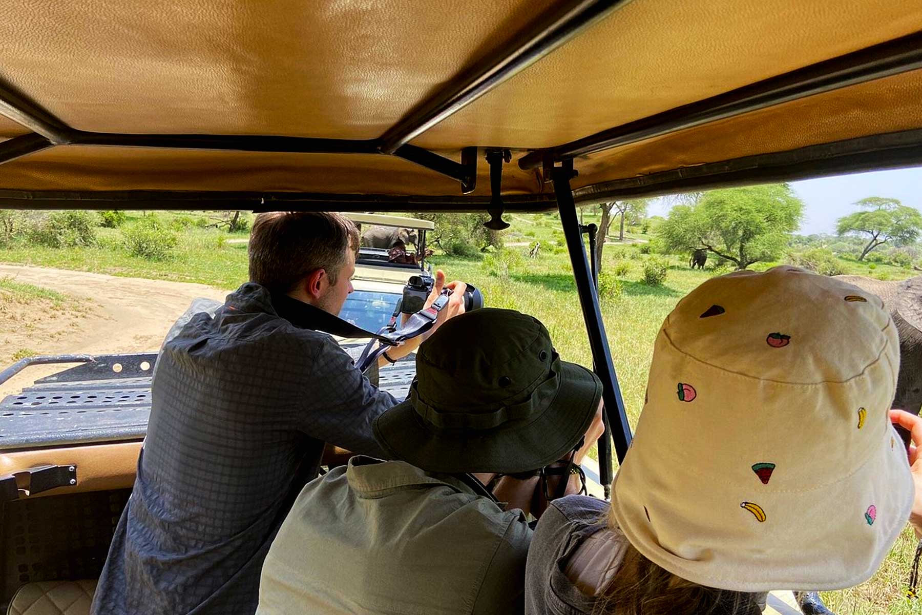 Game Drive in Tarangire National Park