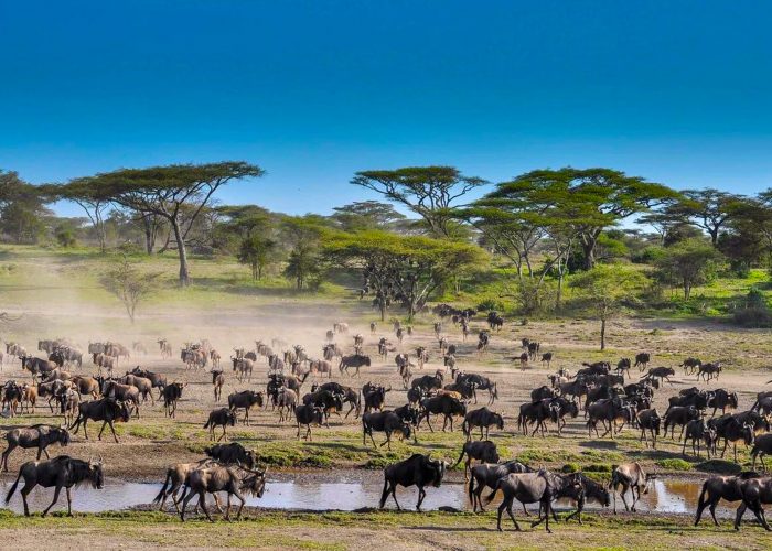 18-days-rwanda-kenya-tanzania-and-zanzibar-adventure-safari