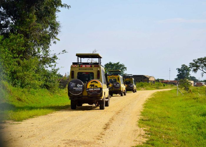 12-days-uganda-tanzania-gorilla-trekking-and-wildlife-adventure