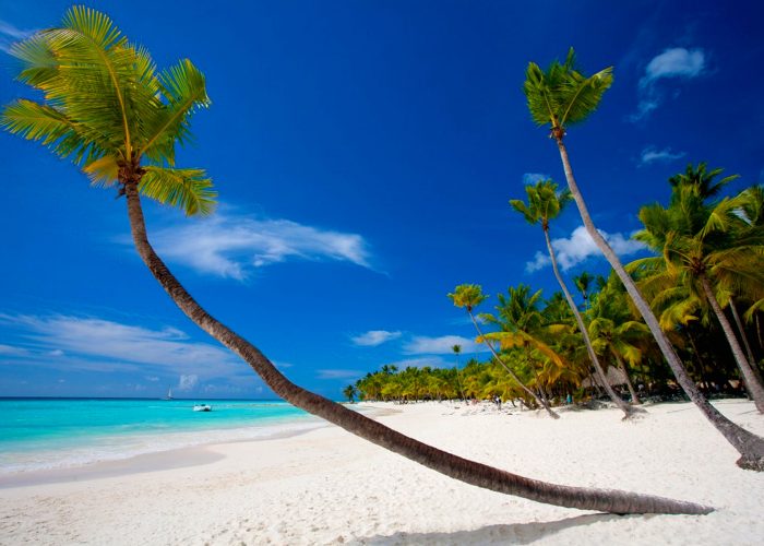 15-days-uganda-tanzania-zanzibar-primate-and-wildlife-adventure