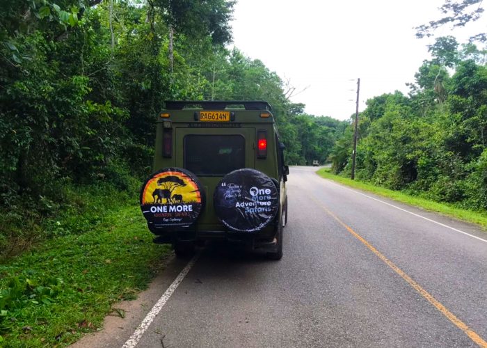 18-days-rwanda-uganda-primate-wildlife-adventure