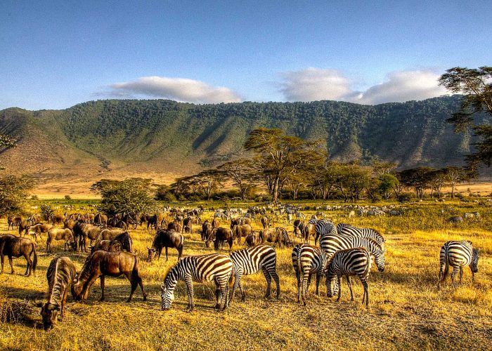 9-days-kenya-tanzania-wildlife-adventure-safari