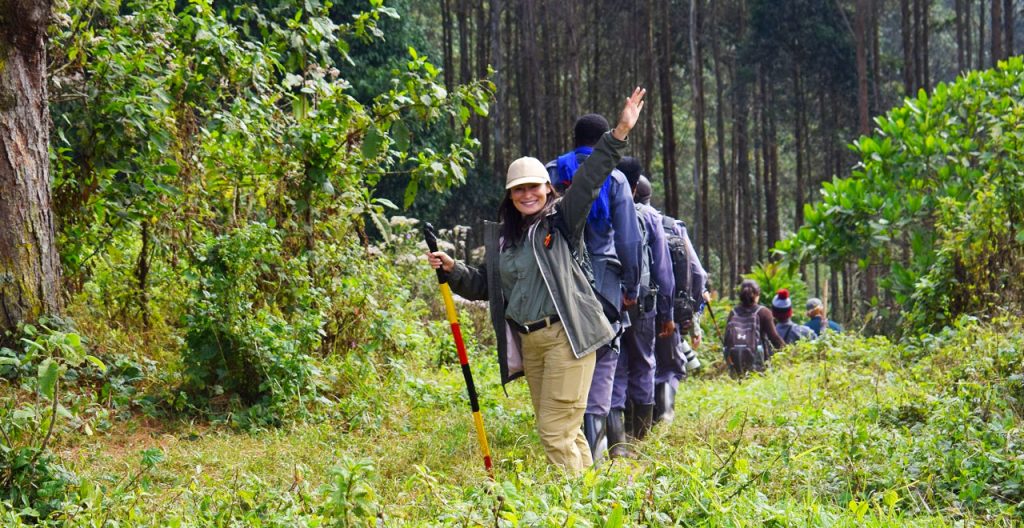 gorilla-trekking-and-wildebeest-migration-adventure-safari