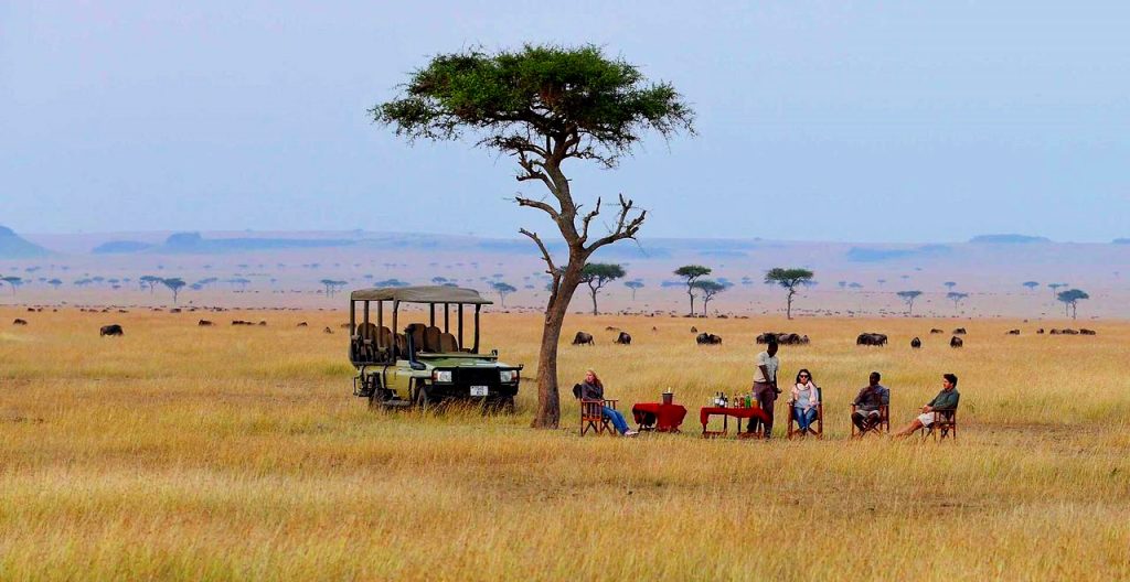 gorilla-trekking-and-wildebeest-migration-safari-tour