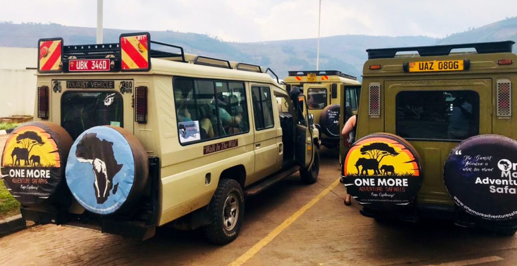 gorilla-trekking-and-wildebeest-migration-safari-with-one-more-adventure-safaris