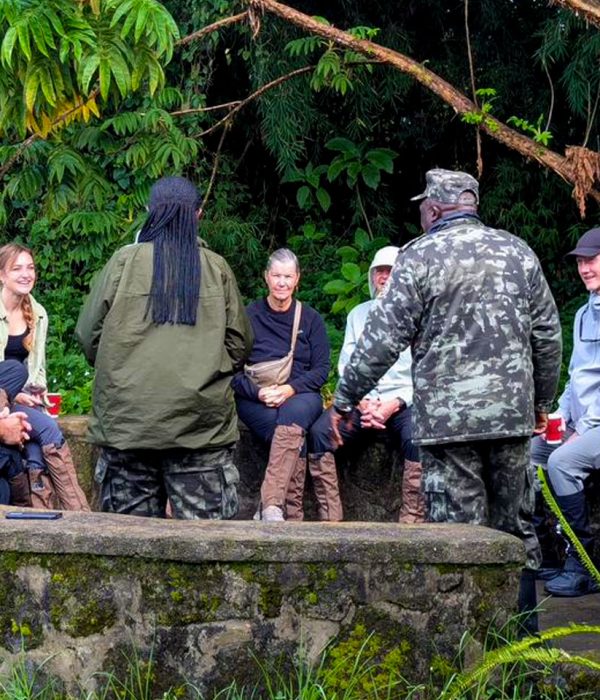 comparing-gorilla-trekking-in-mgahinga-national-park-and-volcanoes-national-park