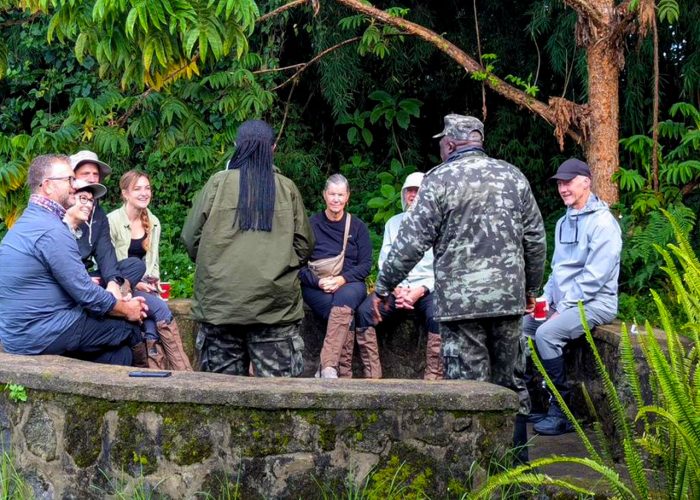 comparing-gorilla-trekking-in-mgahinga-national-park-and-volcanoes-national-park