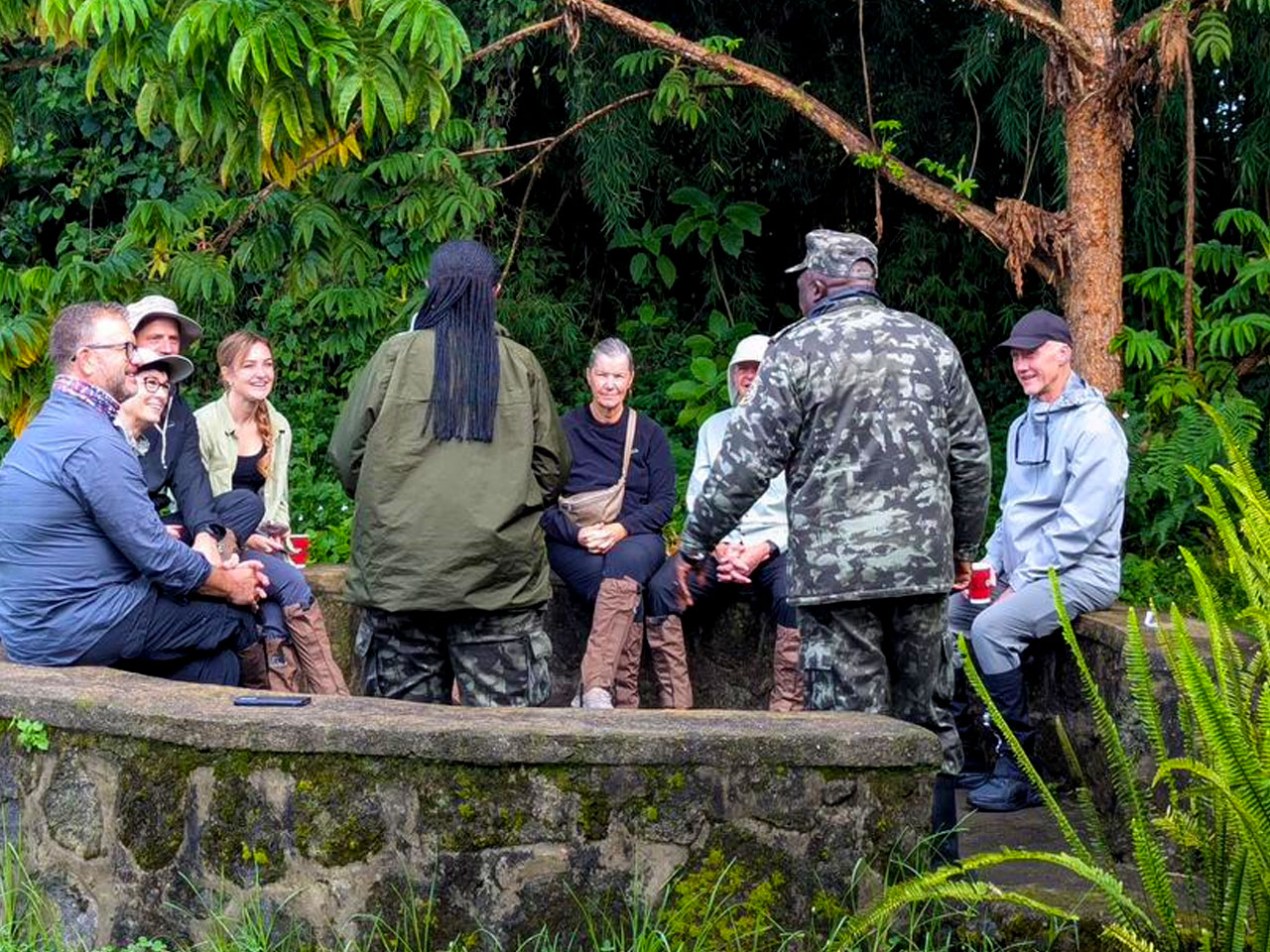 comparing-gorilla-trekking-in-mgahinga-national-park-and-volcanoes-national-park
