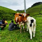discover-bigogwe-farm-for-cultural-tourism-in-rwanda
