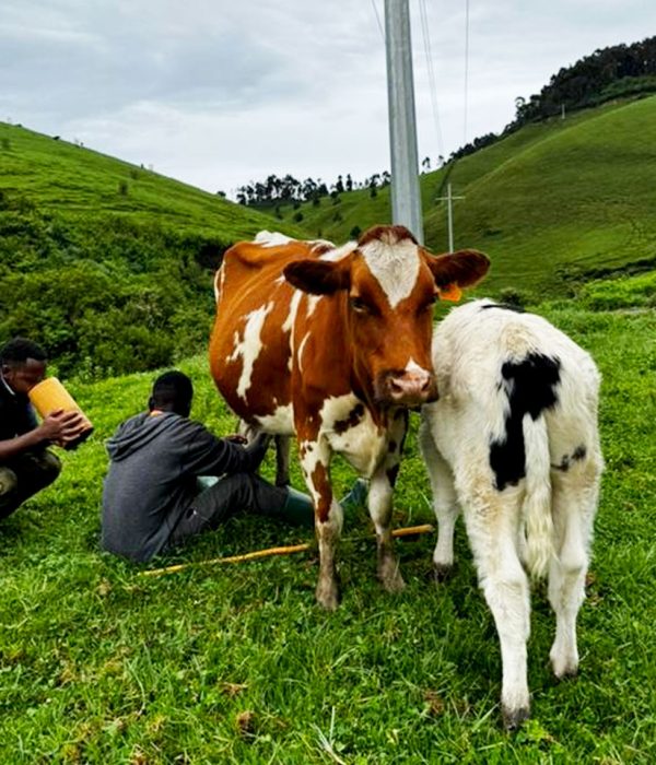 discover-bigogwe-farm-for-cultural-tourism-in-rwanda