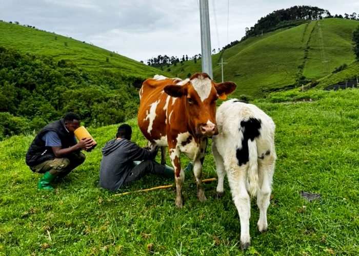 discover-bigogwe-farm-for-cultural-tourism-in-rwanda