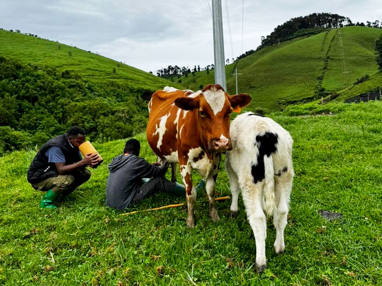 discover-bigogwe-farm-for-cultural-tourism-in-rwanda