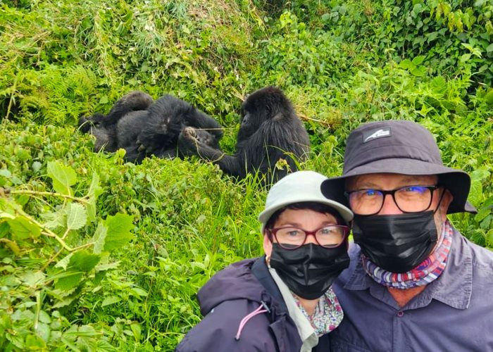 factors-that-determine-the-quality-of-a-gorilla-trekking-experience