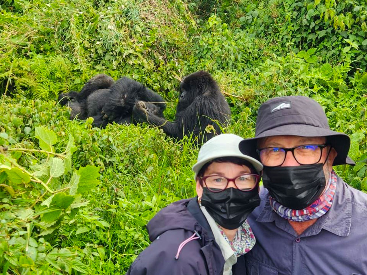 factors-that-determine-the-quality-of-a-gorilla-trekking-experience