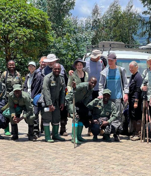 why-gorilla-trekking-in-volcanoes-national-park