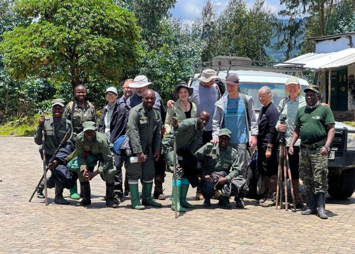why-gorilla-trekking-in-volcanoes-national-park