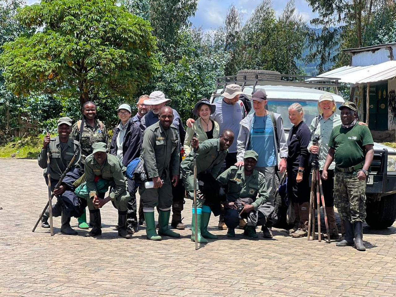 why-gorilla-trekking-in-volcanoes-national-park why-gorilla-trekking-in-volcanoes-national-park